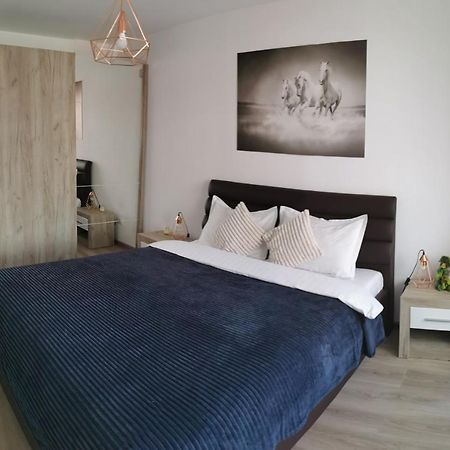 Marimonti Apartment Brasov Ngoại thất bức ảnh